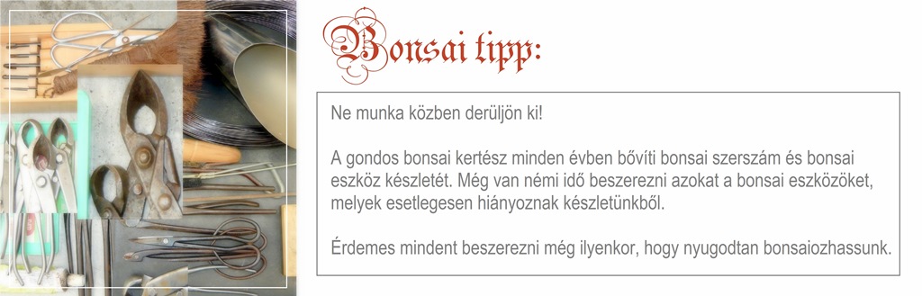 bonsai alakitas eszkozei, japan bonsai szerszamok